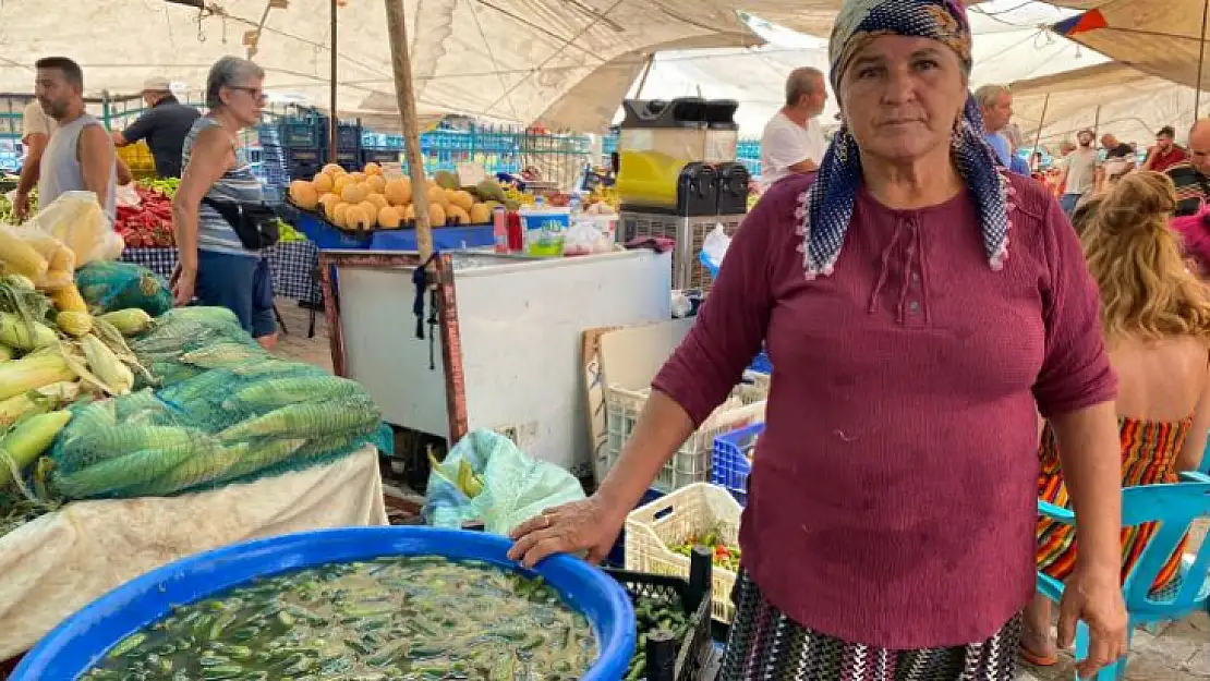 Fethiye Salı Pazarı Esnafından Mis Gibi Kornişon Turşusu Tarifi!