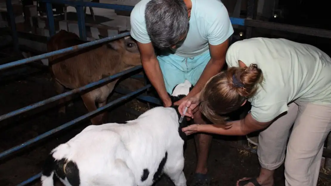 Fethiye'ye Tatile Geldi Hayatı Değişti