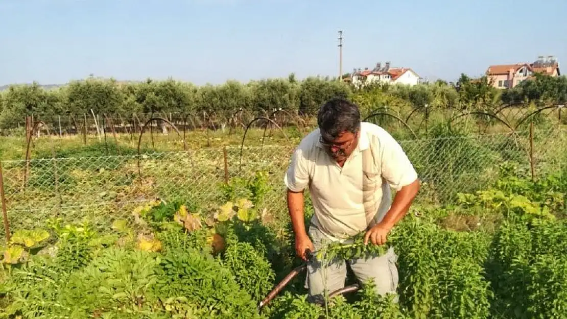 Fethiyeli Üreticiler 'Şifa Bahçesi' Oluşturdu