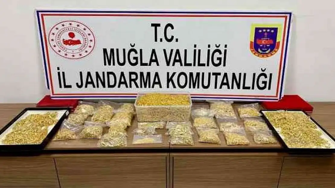 Gasp ettikleri 16 kilo altını toprağa gömdüler, jandarmadan kaçamadılar