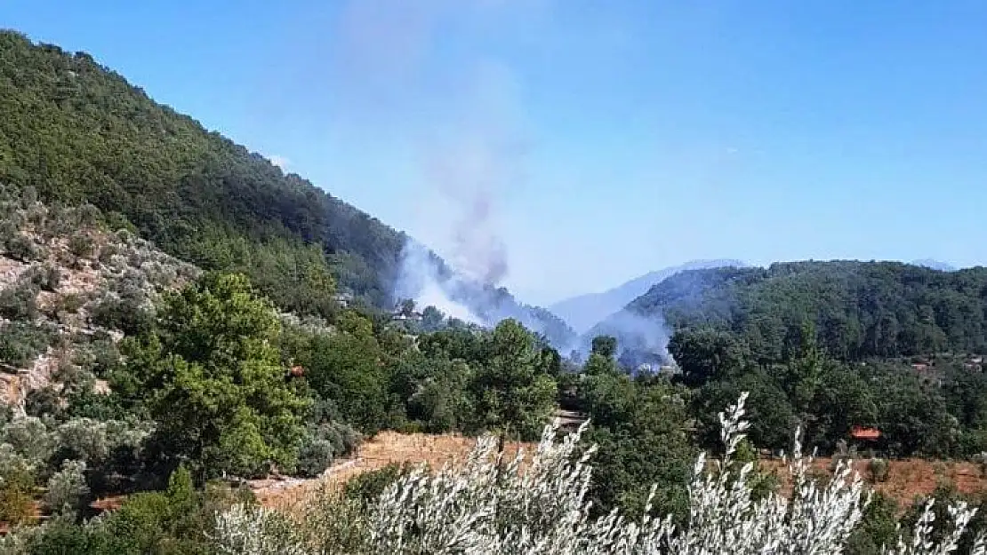 Göcek'teki yangın büyümeden söndürüldü