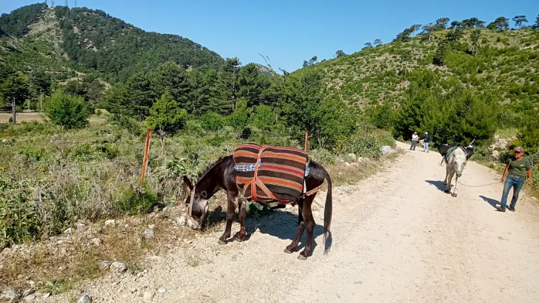 Göcek Yayla Yürüyüşü Başladı