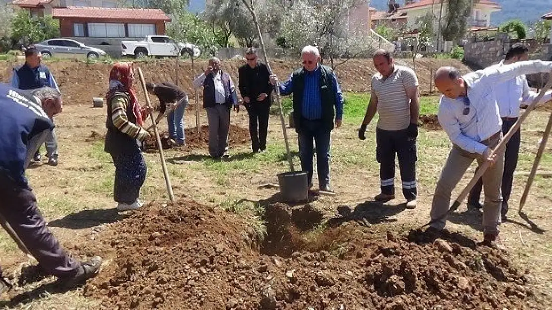 Göcek'in ardından Ölüdeniz de Yeşilleniyor