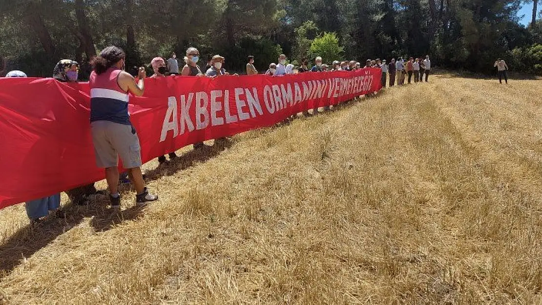 İkizköy Akbelen Ormanı hem Muğla'nın hem de Türkiye'nin sorunudur!