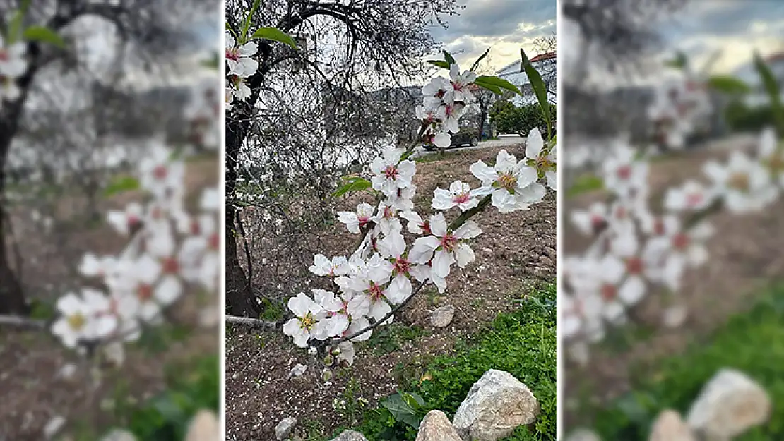 İlk Cemre Havaya Düştü