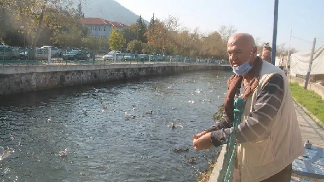 İşler yavaşlayınca kuşları beslemeye başladılar