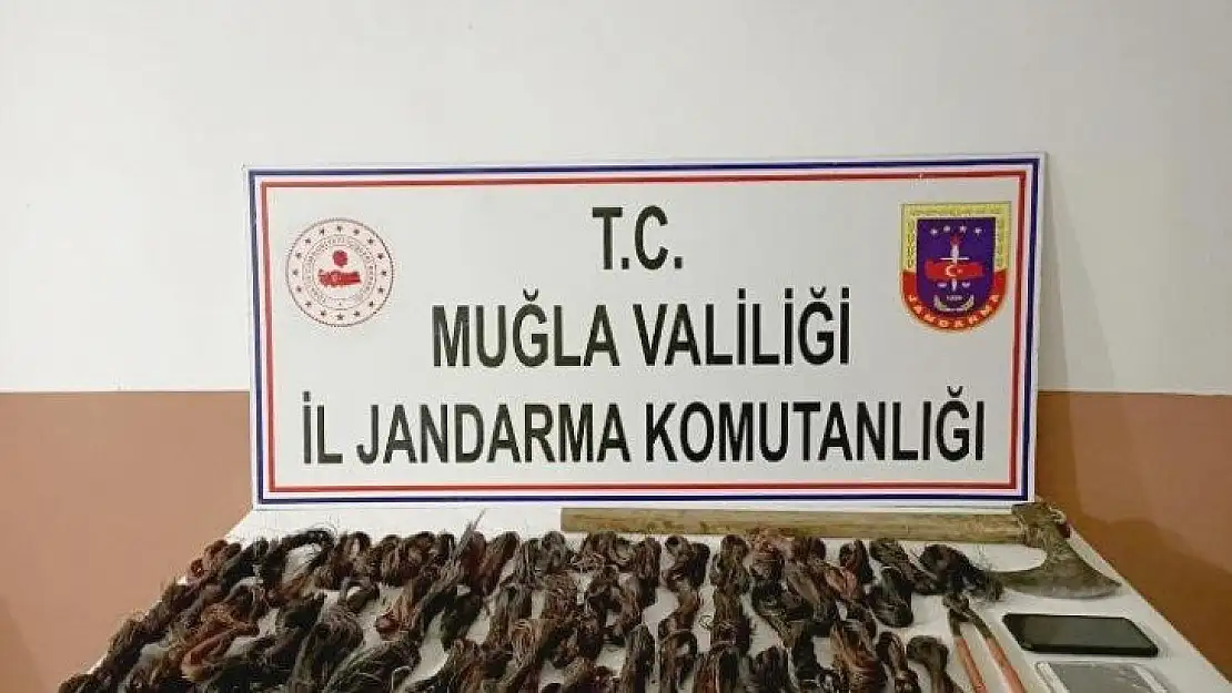 Kablo hırsızları için Seydikemer Jandarma ve JASAT günlerce iz sürdü