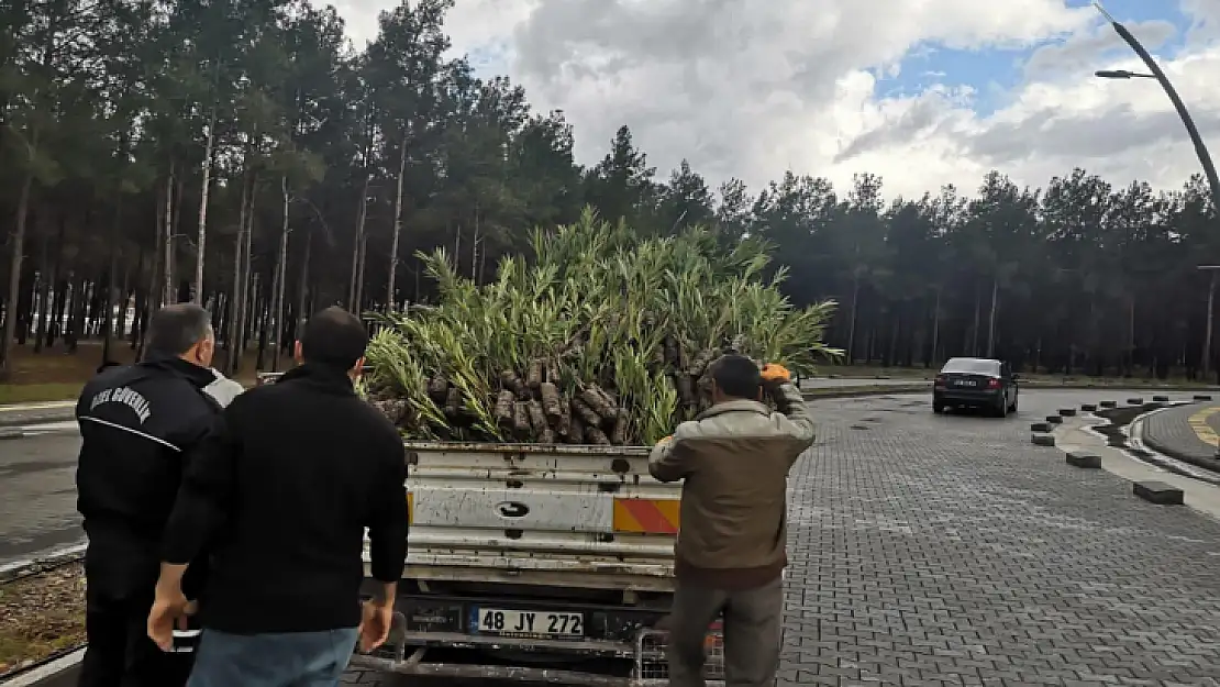 Kampüs yolları rengarenk oldu 