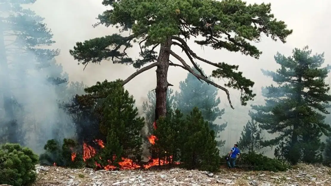 Kavaklıdere yangını Menteşe sınırlarında devam ediyor