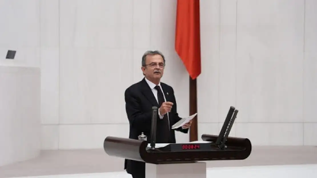 'Kendi mermerimizi teşvik varken ithal sevdası niye?'