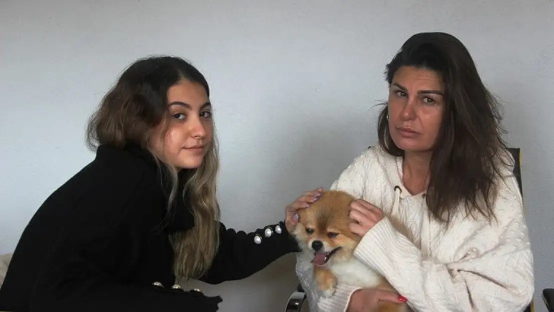 Köpeğin saldırısına uğrayarak yaralanan genç kızın annesi, köpeği ezmekle suçlandı