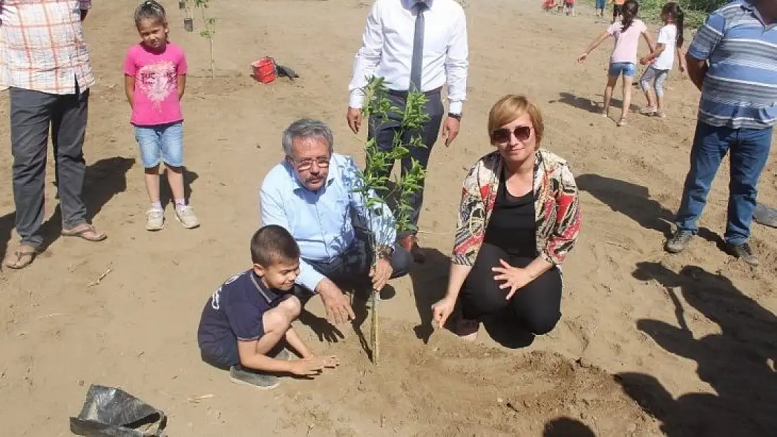 Köyceğiz'de öğrenciler okul bahçesine narenciye fidanı dikti