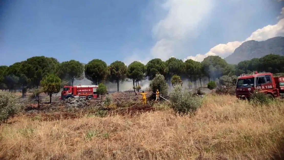 Köyceğiz'de orman yangını kısa sürede söndürüldü