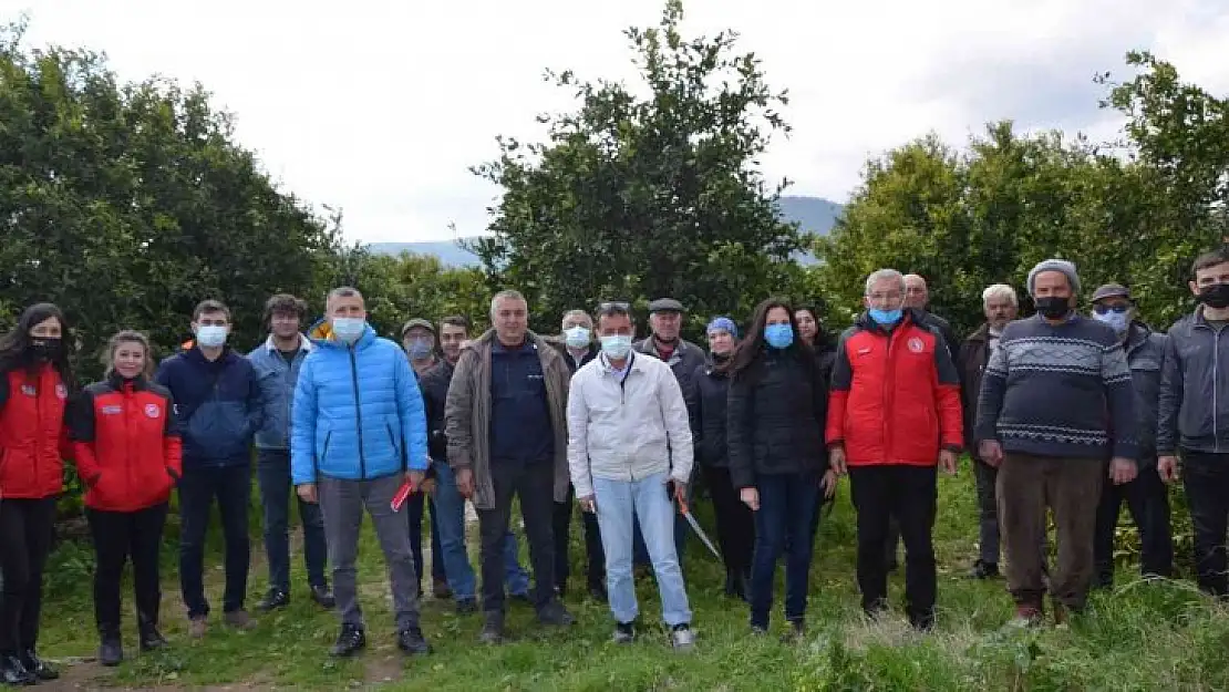 Köyceğiz'de üreticilere turunçgil yetiştiriciliği eğitimi verildi