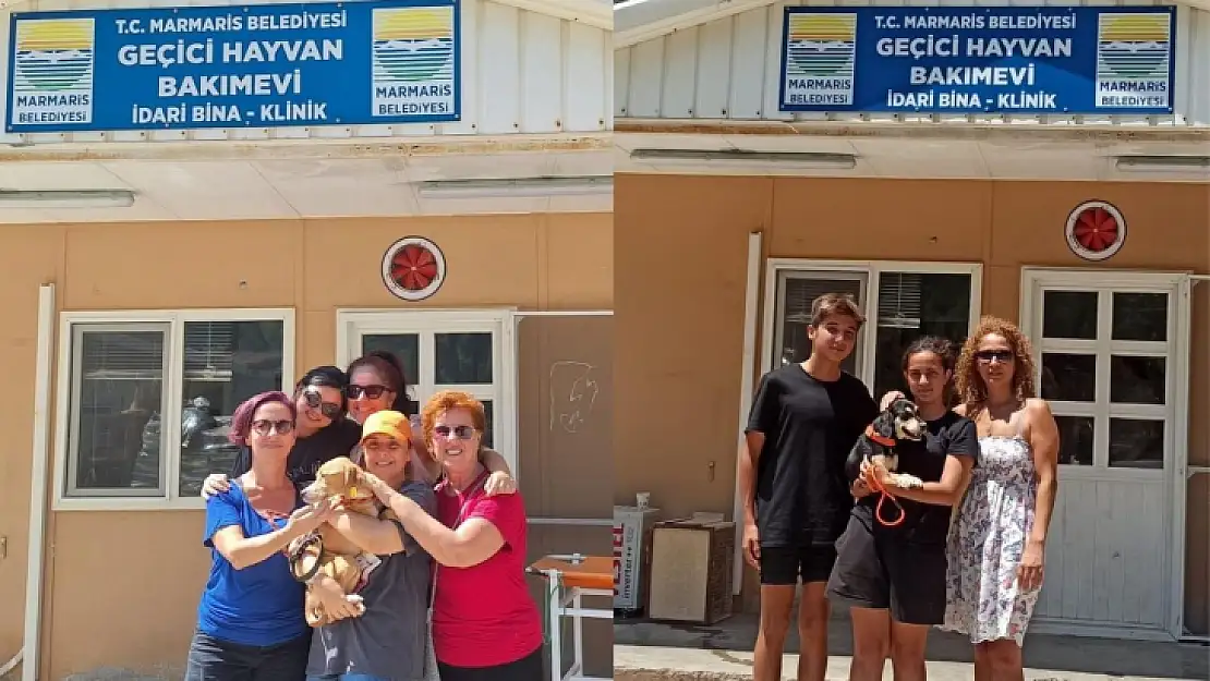 Marmaris'te 7 ayda 157 patili dost yeni yuvasına kavuştu