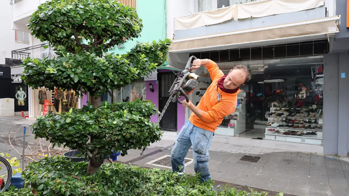 Marmaris'te Bitkilere Kış Bakımı