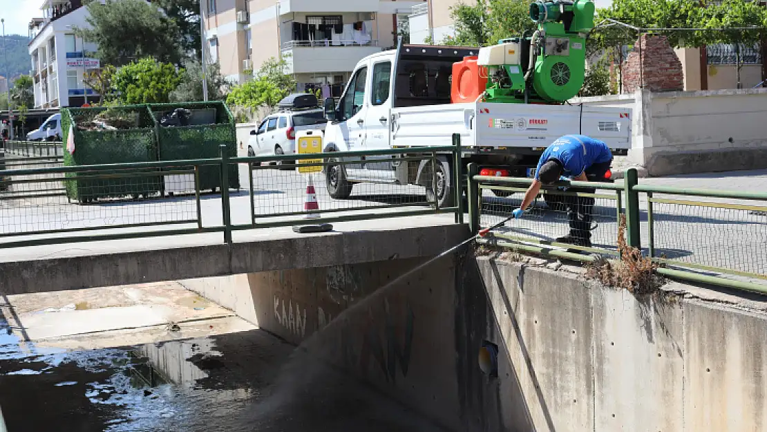 Marmaris'te derelerde ikili mücadele