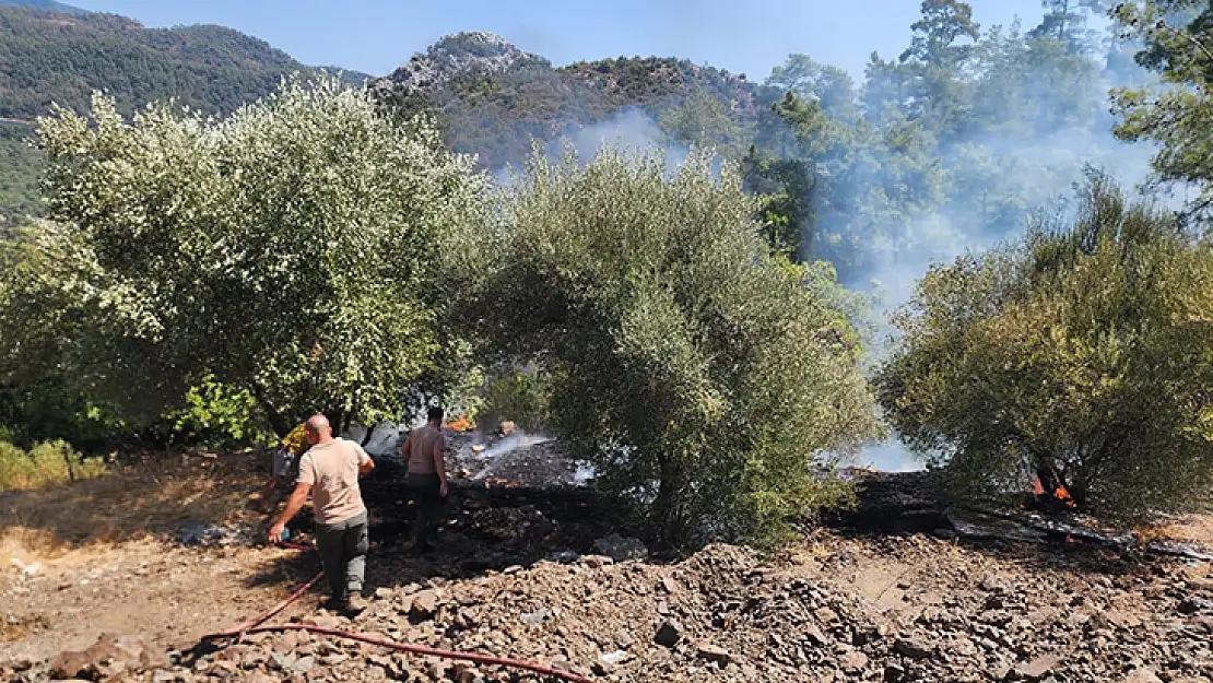 Marmaris'teki Orman Yangını Büyümeden Söndürüldü