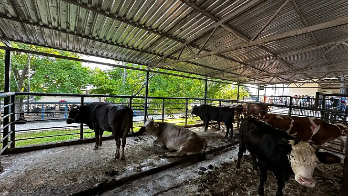 Mezbahalar Bayramda Tam Kapasite Çalıştı