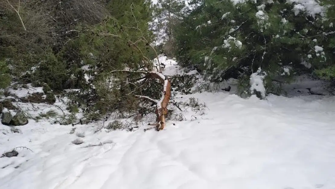 Milas Belediyesi hafta sonu kar mesaisindeydi