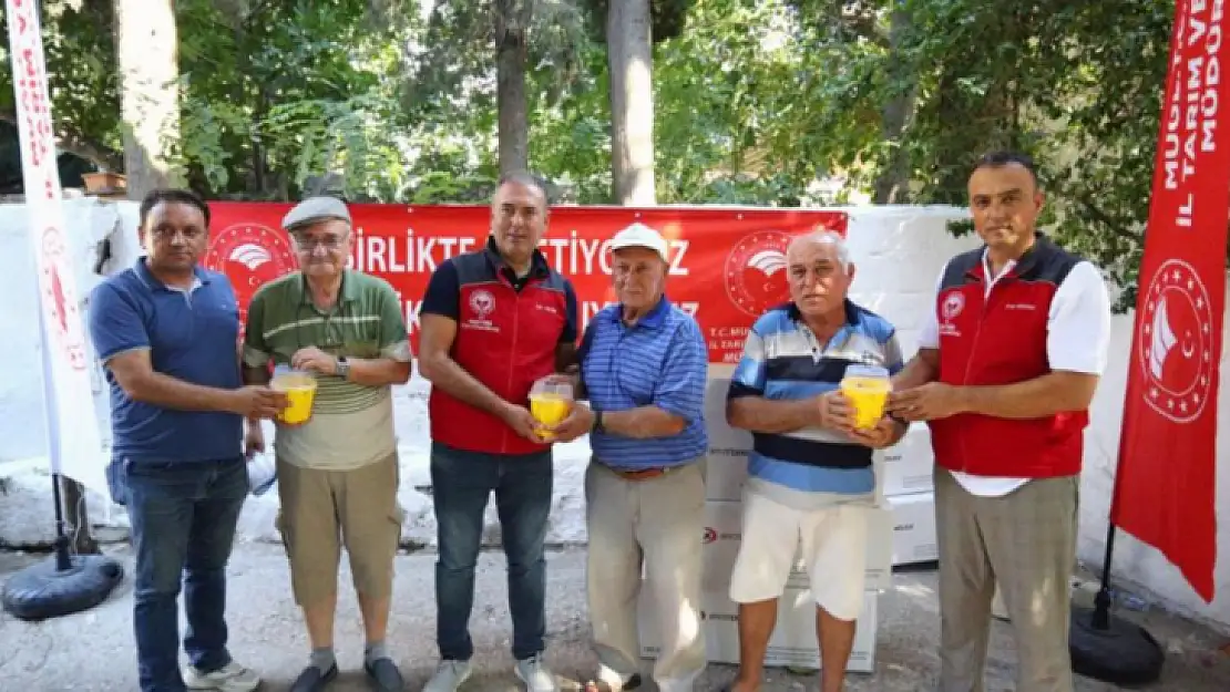 Milas Ören'de 600 adet Akdeniz Meyve Sineği tuzağı dağıtıldı