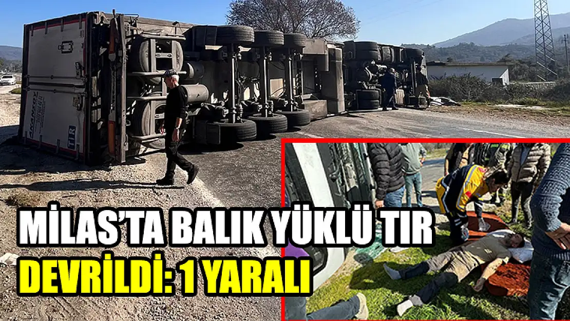 Milas'ta Balık Yüklü Tır Devrildi: 1 Yaralı