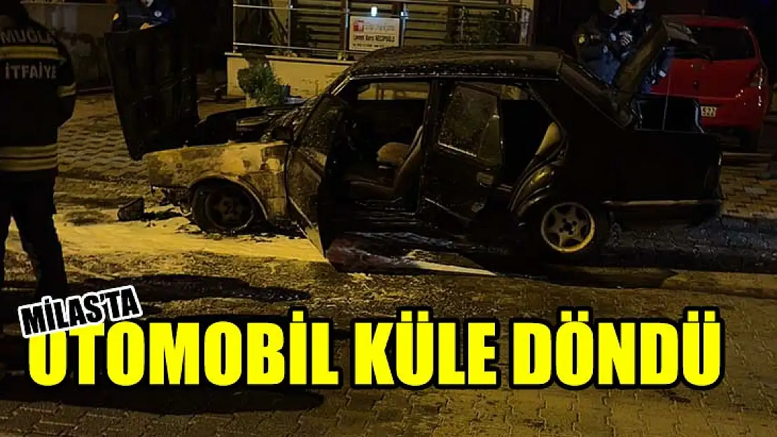 Milas'ta Otomobil Küle Döndü