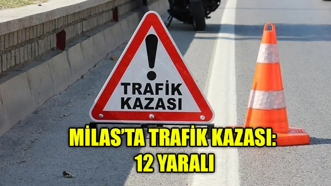 Milas'ta Trafik Kazası: 12 Yaralı