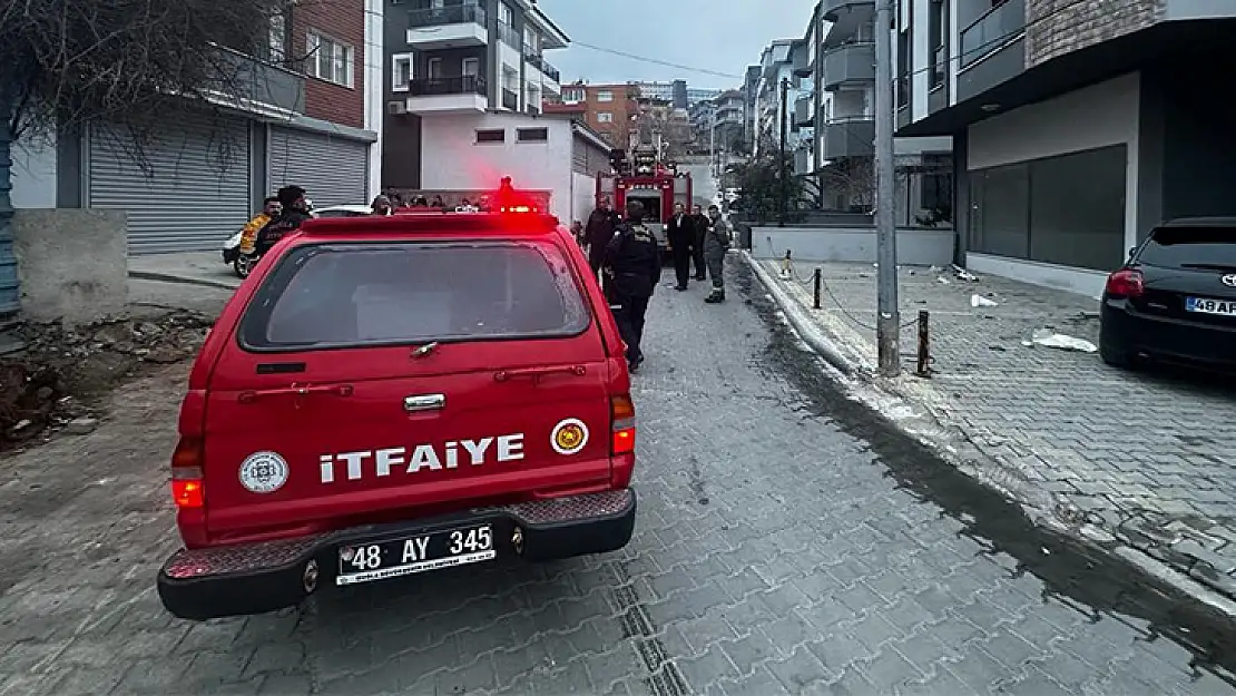 Milas'taki Yangın Büyümeden Söndürüldü