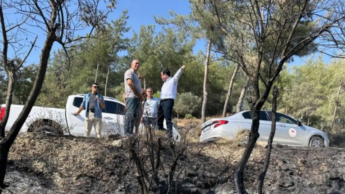 Milas yangınında 13 dekar tarım alanı zarar gördü