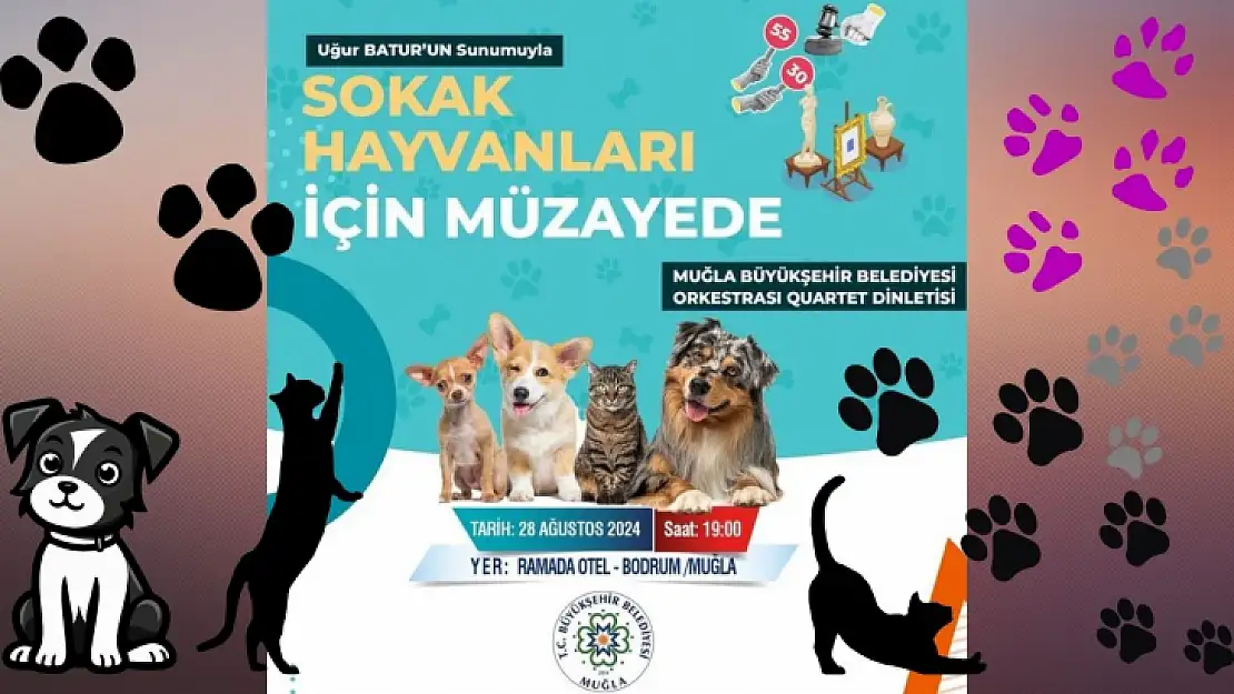 Muğla Büyükşehirden sokak hayvanları yararına müzayede