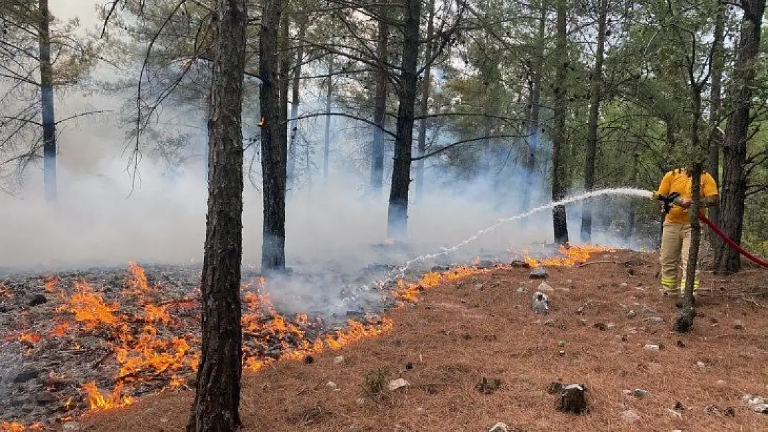 Muğla'da 15 yıldırım yangını söndürüldü