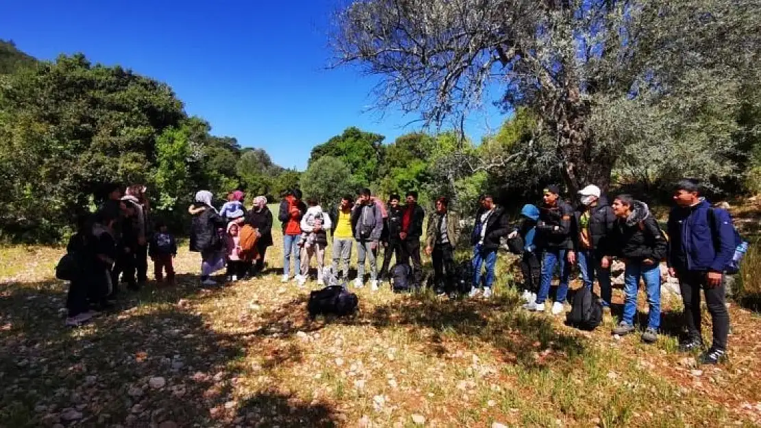 Muğla'da 55 düzensiz göçmen yakalandı