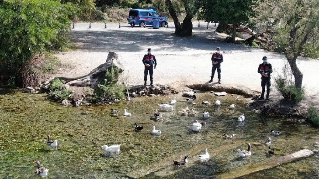 Muğla'da denetimler hız kesmeden devam ediyor