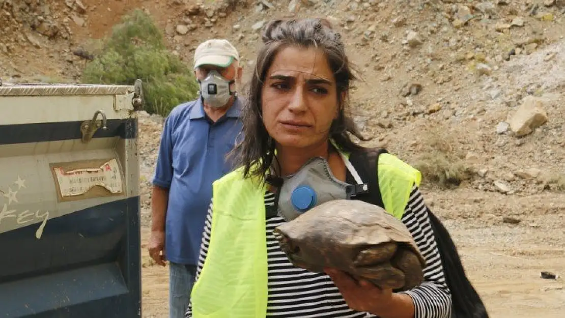 Muğla'da dumanlar içerisinde kalan kaplumbağaya ekiplerden can suyu