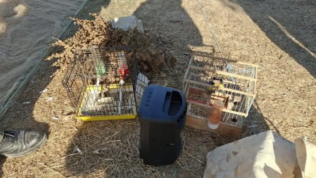 Muğla'da kaçak avcılık yapan kişiye para cezası kesildi