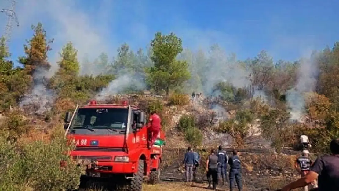 Muğla'da makilik yangını