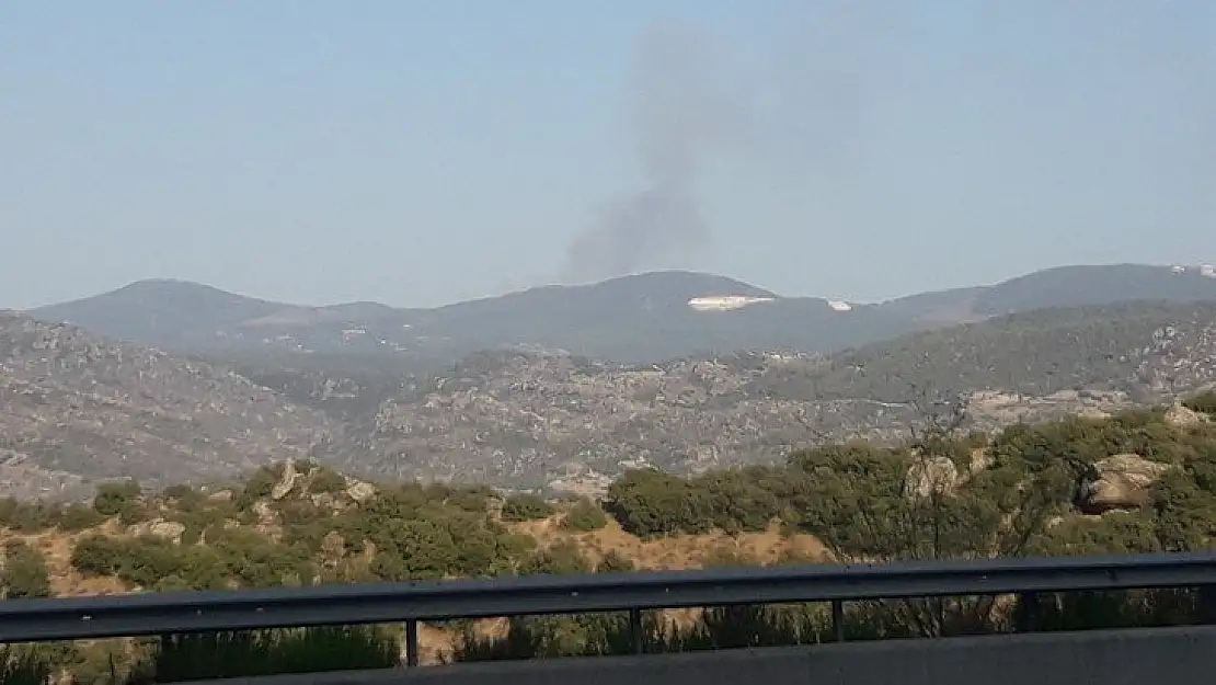 Muğla'da orman yangını