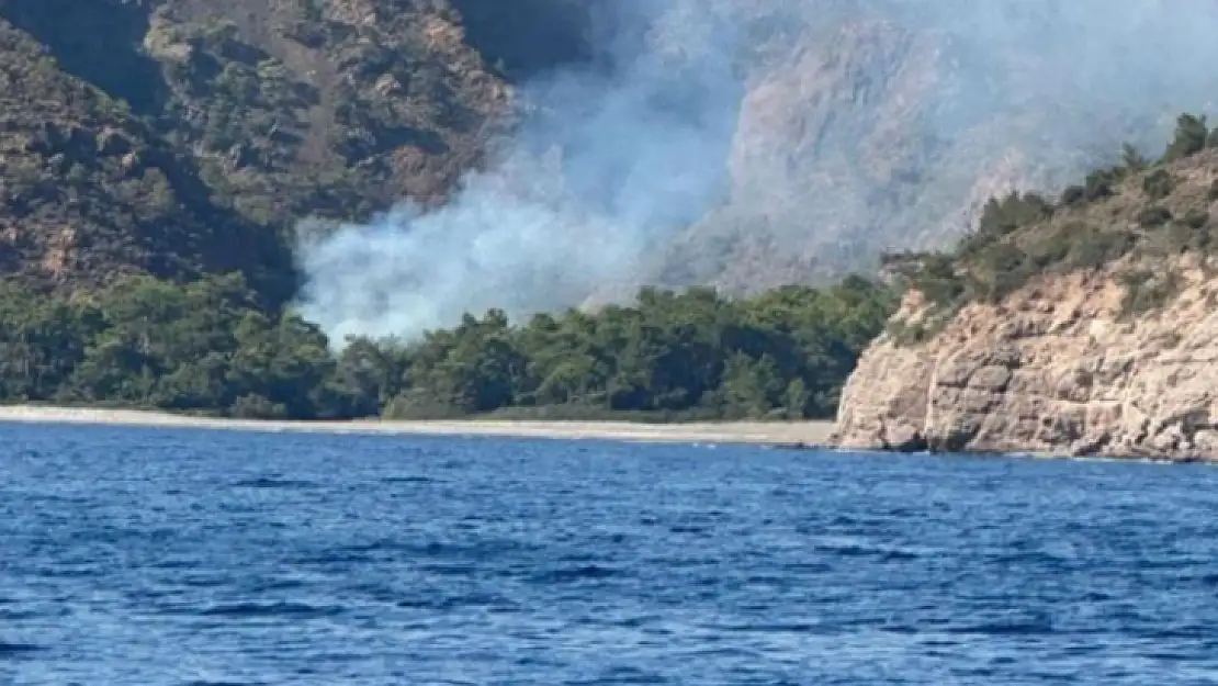 Muğla Datça'da da orman yangını çıktı