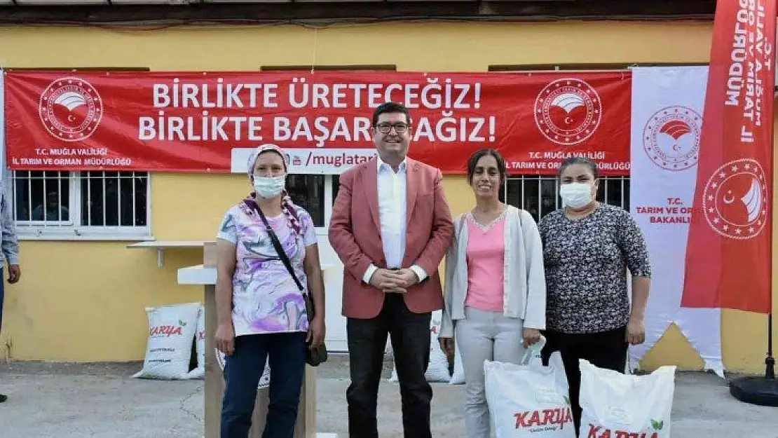 Muğlalı çiftçilere 39 ton yem bitki tohumu dağıtılacak