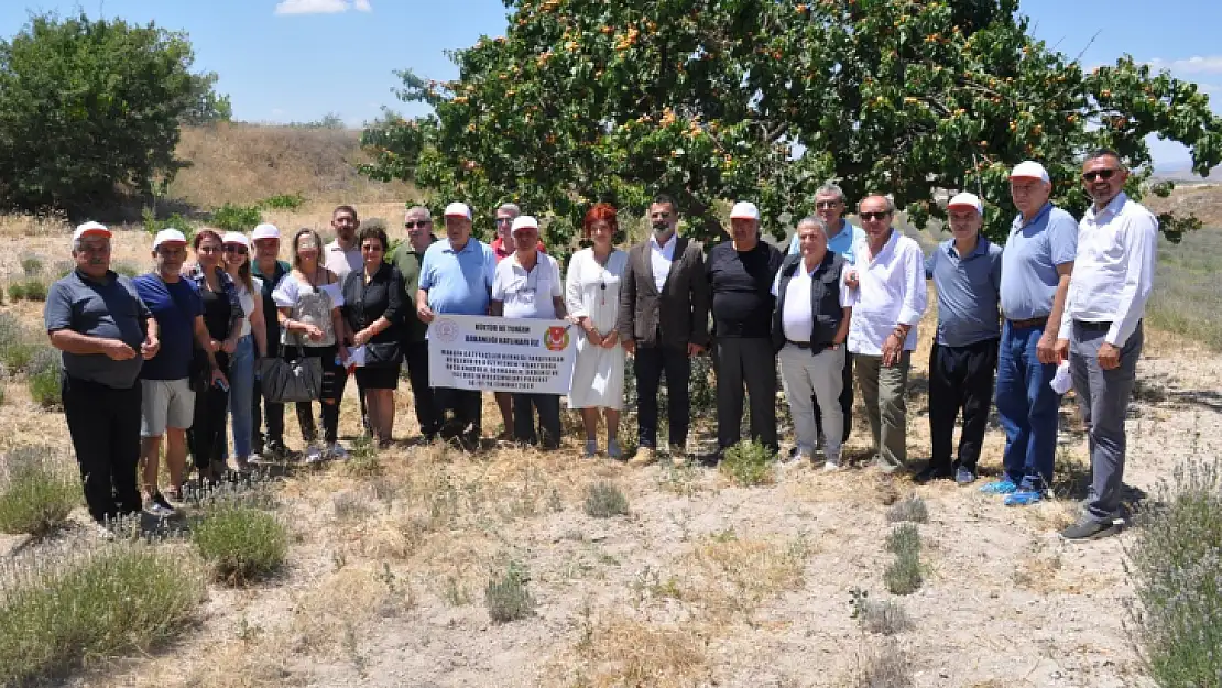 Nevşehir'de Anadolu Basın Buluşması yapıldı