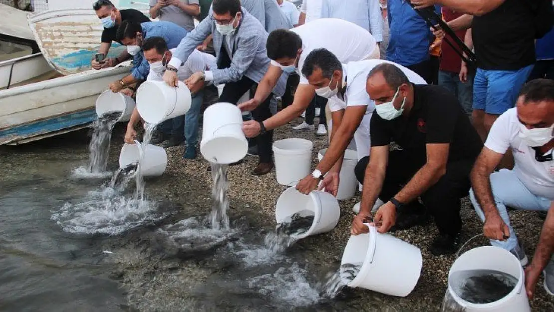 Önce denizi temizlediler sonra 30 bin yavru balığı denize bıraktılar