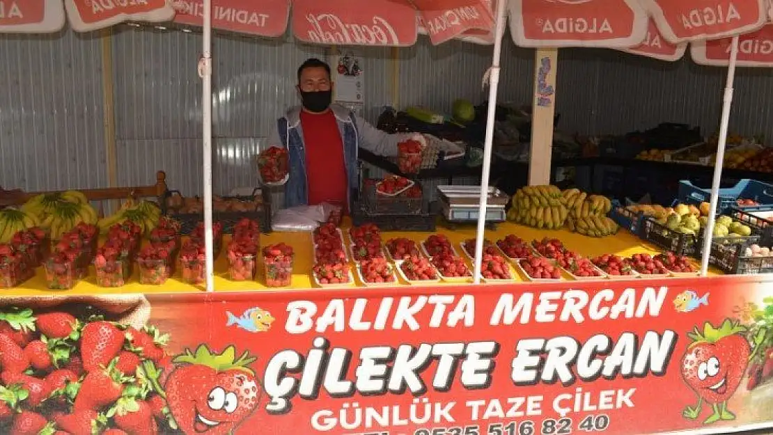 Organik ve doğal Fethiye çileği yoğun ilgi görüyor