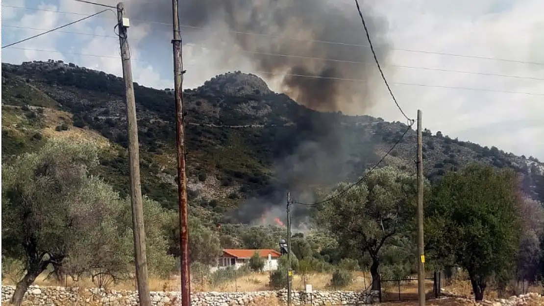 Seydikemer orman yangını söndürüldü