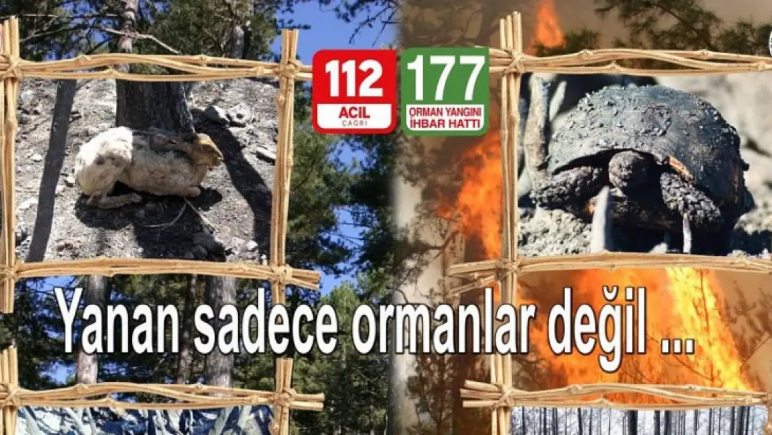 Orman yangınlarına karşı vatandaşlar uyarıldı