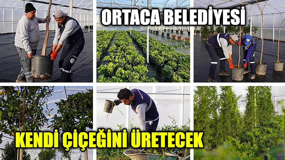 Ortaca Belediyesi Kendi Çiçeğini Üretecek