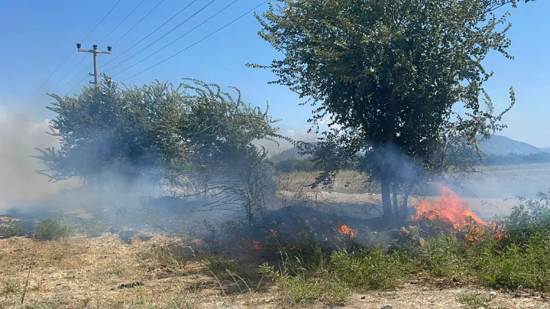 Ortaca' da korkutan yangın