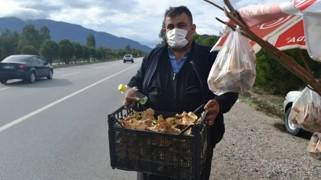 Şehit aileleri ve engellilere ücretsiz çıntar