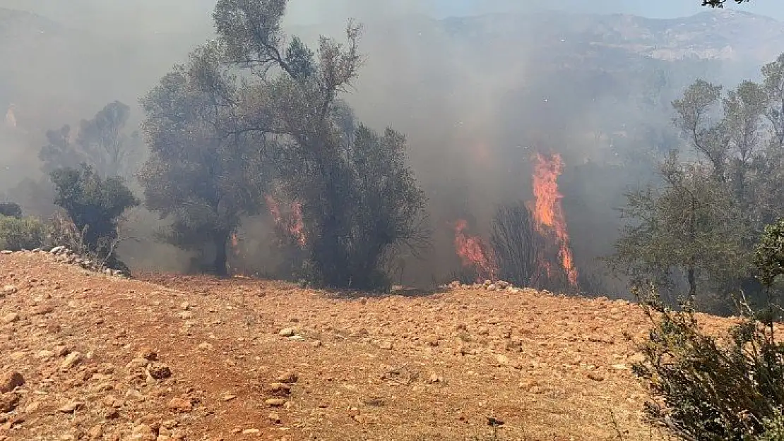 Seydikemer'de bir yangın daha