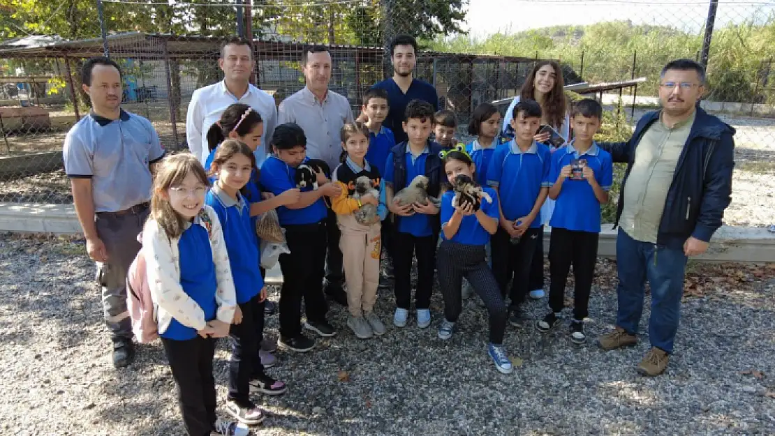 Seydikemer'de Öğrenciler Can Dostlarımızla Buluştu